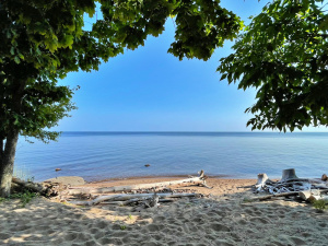 Lake Front Cabin Resort