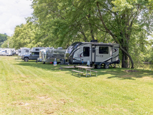 Swimming Pool, River Frontage, Fishing Dock, and Family Friendly