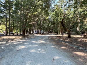 38 Acre Wooded Oasis!