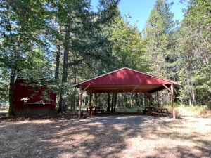 38 Acre Wooded Oasis!