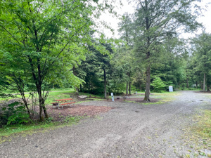 18 Acre Haven for Nature Lovers