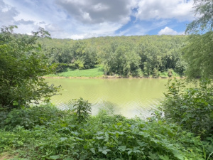 14 Acres with Boat Ramp & River Frontage