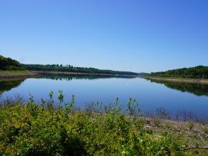 Lake Frontage & Slip Rentals!