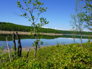 Lake Frontage & Slip Rentals!