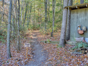 Mulberry Gap Adventure Basecamp