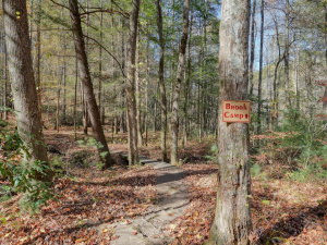 Mulberry Gap Adventure Basecamp