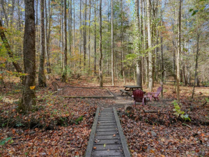 Mulberry Gap Adventure Basecamp