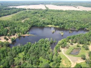 171 Acres, 2 Small Lakes, Many Ponds, and a Creek!