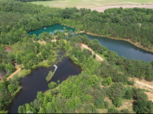 171 Acres, 2 Small Lakes, Many Ponds, and a Creek!