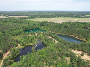 171 Acres, 2 Small Lakes, Many Ponds, and a Creek!