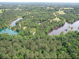 171 Acres, 2 Small Lakes, Many Ponds, and a Creek!