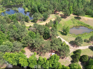 171 Acres, 2 Small Lakes, Many Ponds, and a Creek!