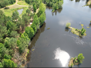 171 Acres, 2 Small Lakes, Many Ponds, and a Creek!