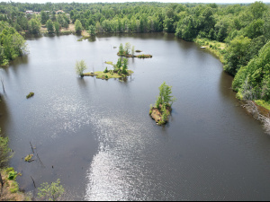 171 Acres, 2 Small Lakes, Many Ponds, and a Creek!