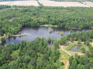 171 Acres, 2 Small Lakes, Many Ponds, and a Creek!