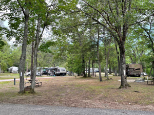 160 RV Sites on 77 Acres & ATV Trails!