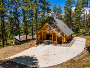 Log Cabin and Home For Sale in Bayfield, CO