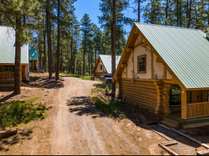 Log Cabin and Home For Sale in Bayfield, CO