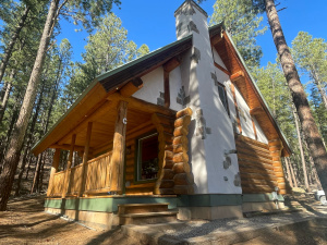 Log Cabin and Home For Sale in Bayfield, CO