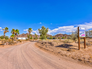 A Little Oasis in the Desert