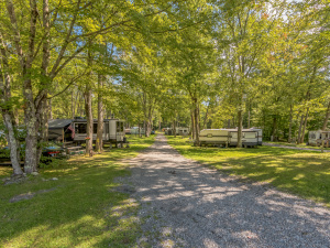 99 RV Sites on 48 Acres