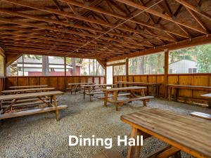 Welcome to Country Hills Resort