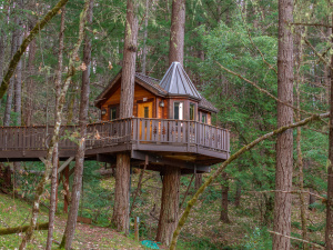 Vertical Horizons Treehouse Paradise