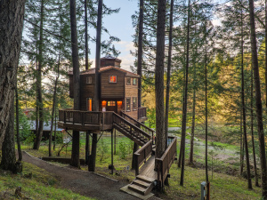 Vertical Horizons Treehouse Paradise