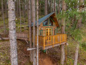 Vertical Horizons Treehouse Paradise