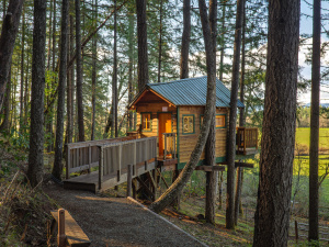 Vertical Horizons Treehouse Paradise