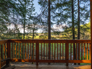Vertical Horizons Treehouse Paradise