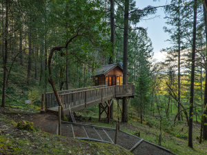 Vertical Horizons Treehouse Paradise