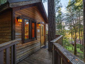 Vertical Horizons Treehouse Paradise