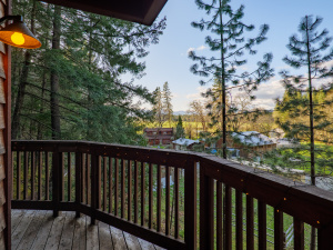 Vertical Horizons Treehouse Paradise