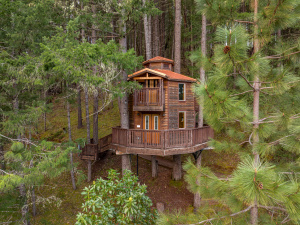 Vertical Horizons Treehouse Paradise