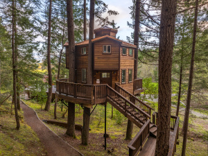 Vertical Horizons Treehouse Paradise