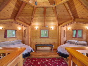 Vertical Horizons Treehouse Paradise