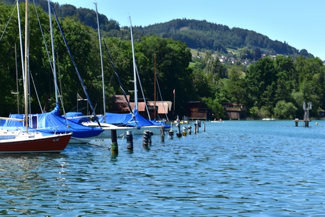Marina with clubhouse and boats